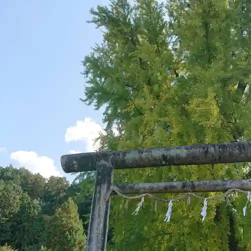 丹生酒殿神社の鳥居