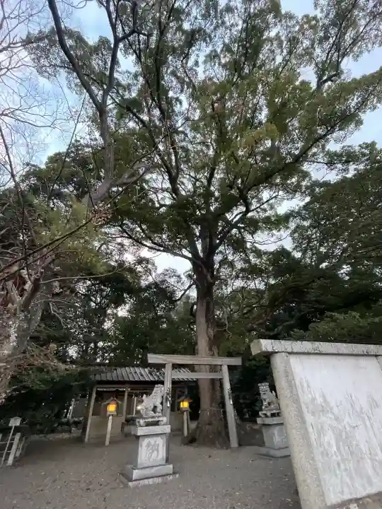 箕曲神社の{uncategorized: "未分類", other: "その他", undefined: "問題あり", building: "その他建物", grave: "お墓", sacred_gate: "鳥居", guardian: "狛犬", statue: "像", buddha: "仏像", history: "歴史", nature: "自然", garden: "庭園", animal: "動物", pagoda: "塔", temizu: "手水舎", mountain_gate: "山門・神門", sanctuary: "本殿・本堂", subordinate: "末社・摂社", art: "芸術", scenery: "景色", jizo: "地蔵", ema: "絵馬", goshuin: "御朱印", omikuji: "おみくじ", items: "授与品その他", amulet: "お守り", goshuincho: "御朱印帳", eats: "食事", festival: "お祭り", votive_dance: "神楽", shichigosan: "七五三参", wedding: "結婚式", experience: "体験その他", initially: "初詣", around: "周辺", anti_infection: "感染症対策"}