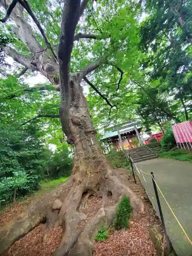 愛宕神社(福島県)