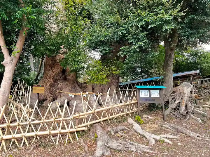 賀久留神社(静岡県)