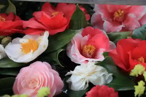 豊景神社の手水舎