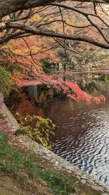 龍安寺(京都府)
