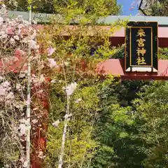 來宮神社の建物その他