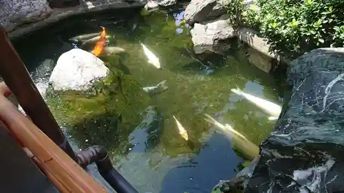 尾張猿田彦神社の庭園