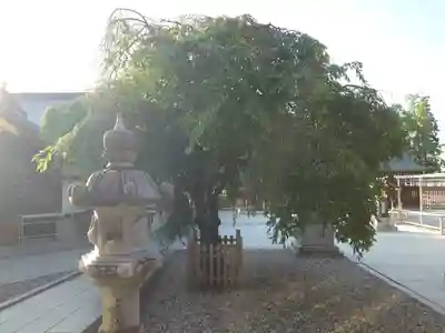 速谷神社(広島県)