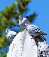 三津厳島神社(愛媛県)