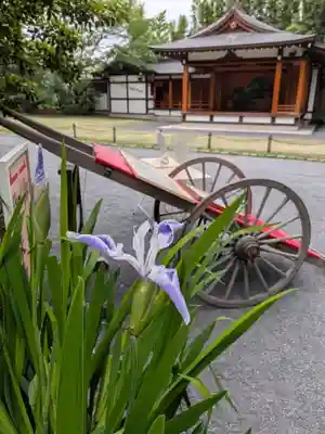 阿佐ヶ谷神明宮(東京都)