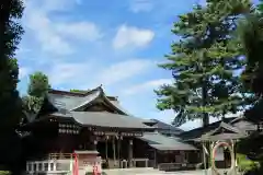 中野沼袋氷川神社の本殿