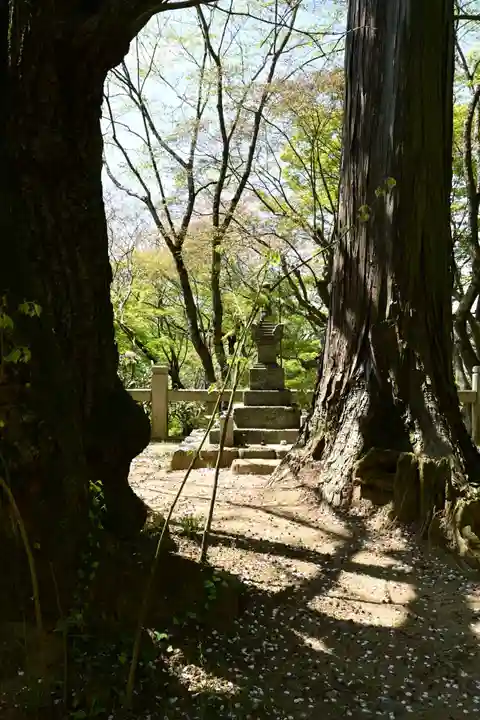 岡寺(龍蓋寺)(奈良県)