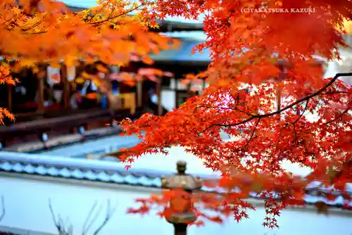 宝徳寺(群馬県)