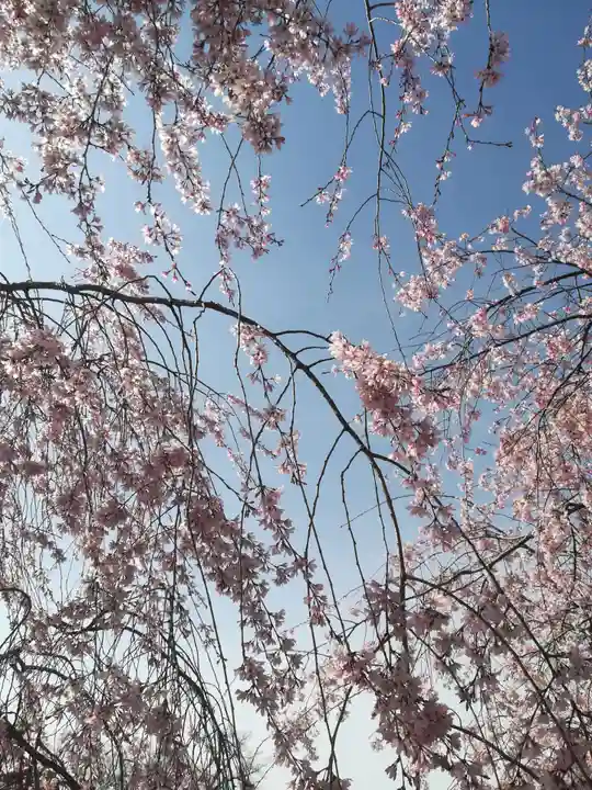 三嶋大社(静岡県)