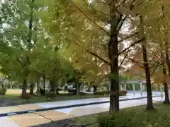 菟越神社の建物その他