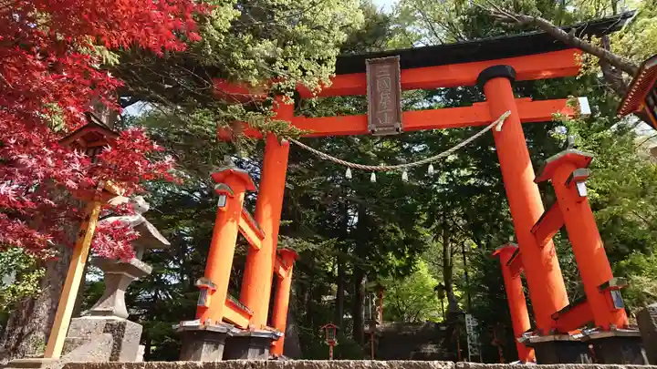 新倉富士浅間神社の鳥居