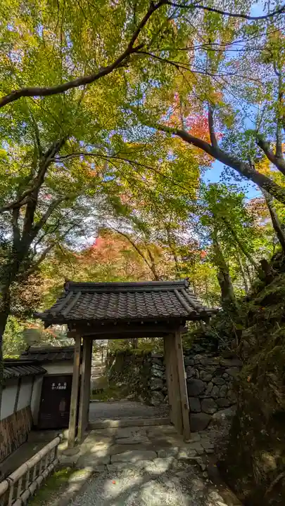 高山寺(京都府)