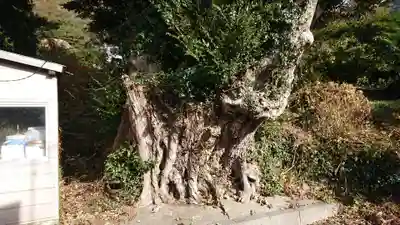 山神社(戸田)(静岡県)