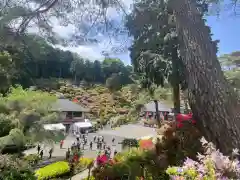 塩船観音寺(東京都)