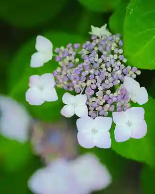 浄土寺(兵庫県)