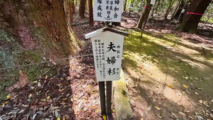 若狭彦神社(上社)(福井県)