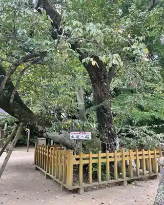 天満天神宮(茨城県)