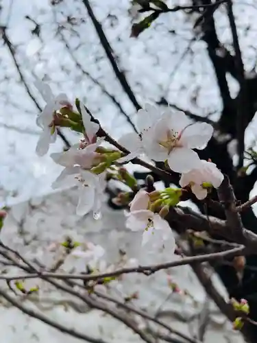 別小江神社(愛知県)