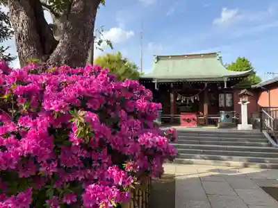 小村井 香取神社(東京都)