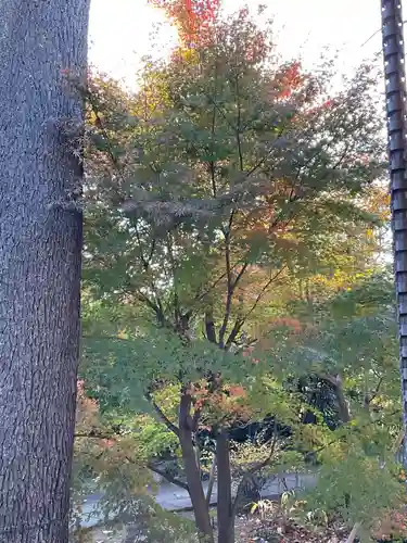 円勝寺(東京都)