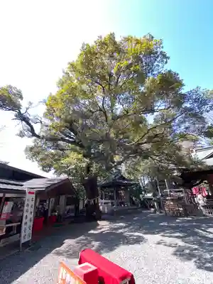 座間神社(神奈川県)