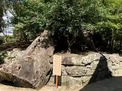 與止日女神社の自然