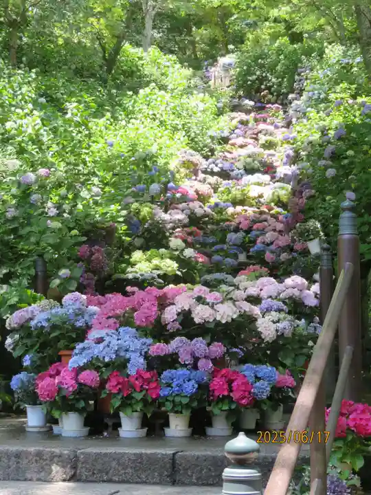 長谷寺(奈良県)