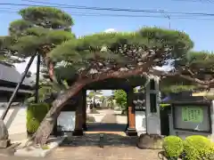 法源寺の山門