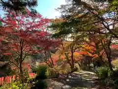 普門寺(切り絵御朱印発祥の寺)(愛知県)