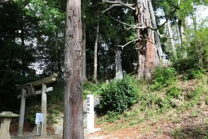 阿久津「田村神社」(郡山市阿久津町)旧社名:伊豆箱根三嶋三社の景色