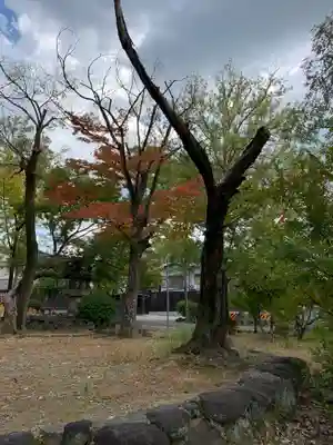 石切劔箭神社のその他建物