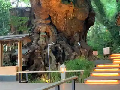 來宮神社(静岡県)