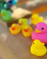 札幌諏訪神社の像