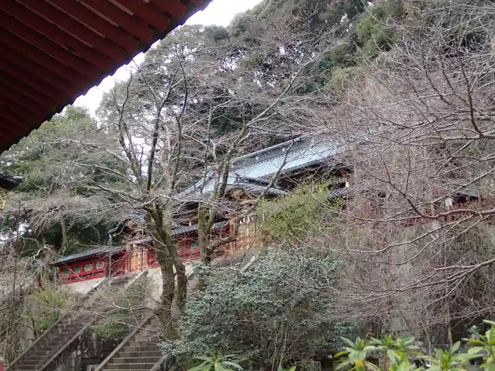 静岡浅間神社の自然