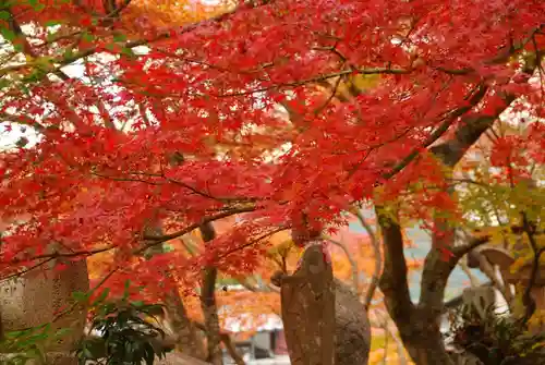 両足寺(山口県)
