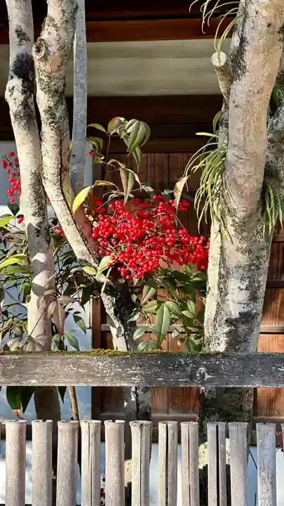 興福寺 南円堂(奈良県)