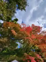 出雲大神宮の景色