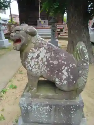本行徳神明社(神明宮)(千葉県)