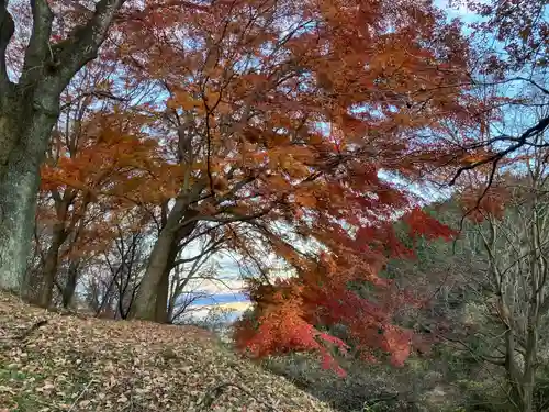 星宮神社(館ノ川)の周辺