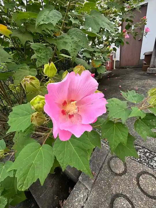 蔵林寺(京都府)