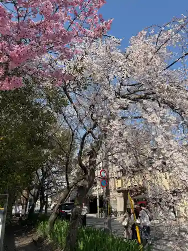 平野神社の{uncategorized: "未分類", other: "その他", undefined: "問題あり", building: "その他建物", grave: "お墓", sacred_gate: "鳥居", guardian: "狛犬", statue: "像", buddha: "仏像", history: "歴史", nature: "自然", garden: "庭園", animal: "動物", pagoda: "塔", temizu: "手水舎", mountain_gate: "山門・神門", sanctuary: "本殿・本堂", subordinate: "末社・摂社", art: "芸術", scenery: "景色", jizo: "地蔵", ema: "絵馬", goshuin: "御朱印", omikuji: "おみくじ", items: "授与品その他", amulet: "お守り", goshuincho: "御朱印帳", eats: "食事", festival: "お祭り", votive_dance: "神楽", shichigosan: "七五三参", wedding: "結婚式", experience: "体験その他", initially: "初詣", around: "周辺", anti_infection: "感染症対策"}
