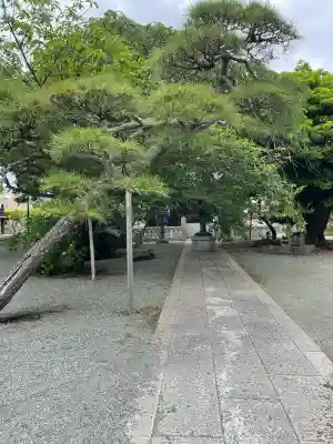本覚寺の{uncategorized: "未分類", other: "その他", undefined: "問題あり", building: "その他建物", grave: "お墓", sacred_gate: "鳥居", guardian: "狛犬", statue: "像", buddha: "仏像", history: "歴史", nature: "自然", garden: "庭園", animal: "動物", pagoda: "塔", temizu: "手水舎", mountain_gate: "山門・神門", sanctuary: "本殿・本堂", subordinate: "末社・摂社", art: "芸術", scenery: "景色", jizo: "地蔵", ema: "絵馬", goshuin: "御朱印", omikuji: "おみくじ", items: "授与品その他", amulet: "お守り", goshuincho: "御朱印帳", eats: "食事", festival: "お祭り", votive_dance: "神楽", shichigosan: "七五三参", wedding: "結婚式", experience: "体験その他", initially: "初詣", around: "周辺", anti_infection: "感染症対策"}