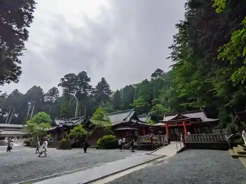 九頭龍神社新宮(神奈川県)