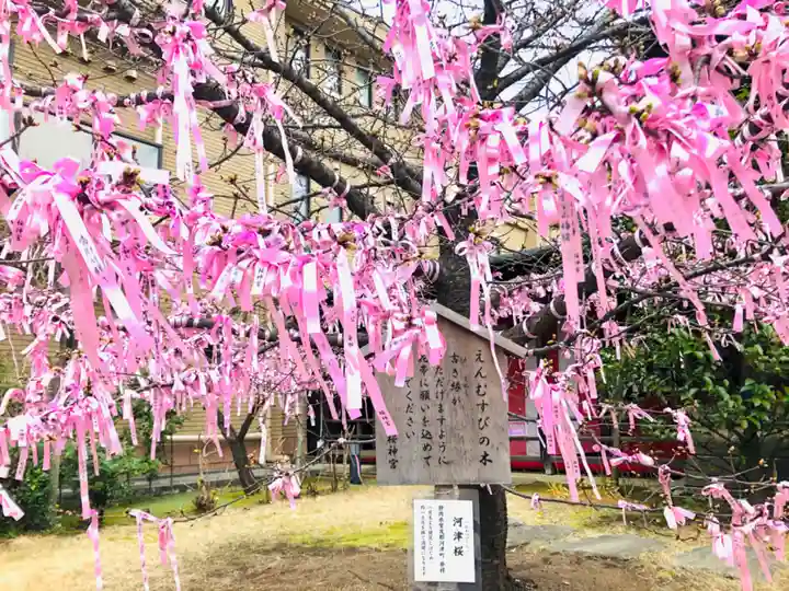 桜神宮の庭園