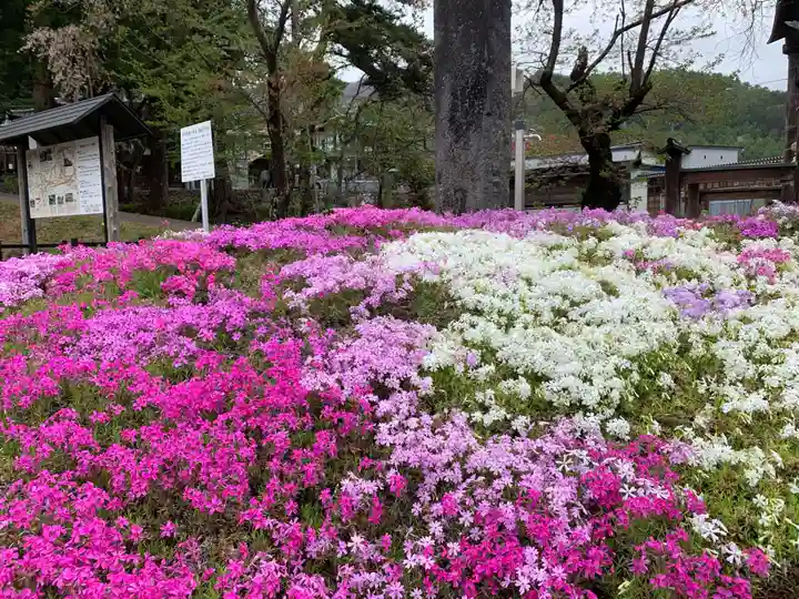 山家神社の自然