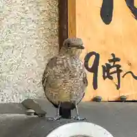 伊勢の国 四天王寺(三重県)
