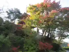 岡寺（龍蓋寺）(奈良県)