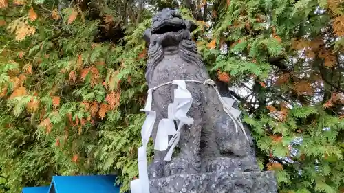 出雲神社の狛犬